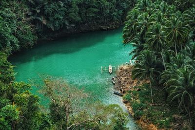 High angle view of bay against trees