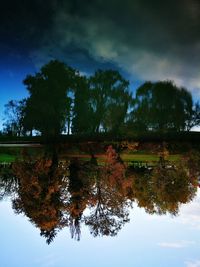 Reflection of silhouette trees in lake against sky at night