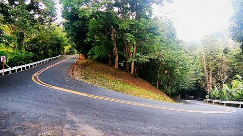 Empty road along trees