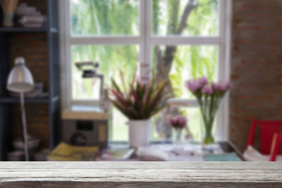 Close-up of potted plant on table by window