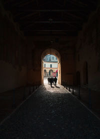 Mantua, italy. historic center. street, urban