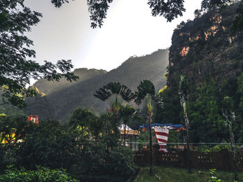 Plants and trees by building against sky