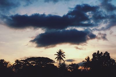 Low angle view of silhouette trees against dramatic sky