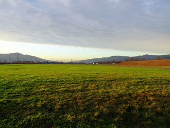 Scenic view of field against sky