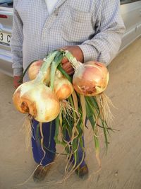 Close-up of fresh vegetables