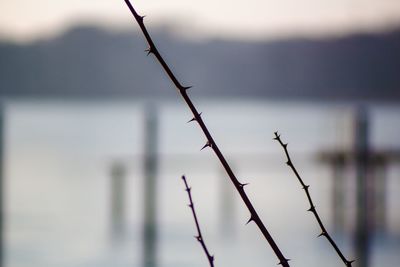 Close-up of water against sky