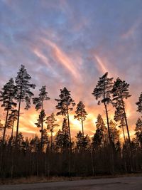 Silhouette trees in forest against sky during sunset