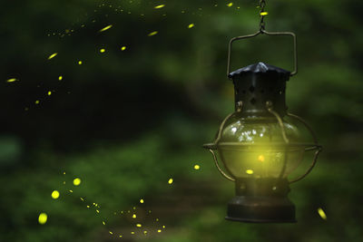 Close-up of fireflies by illuminated lantern hanging outdoors