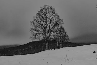 Bare tree on snow covered field against sky