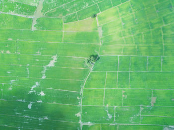 Full frame shot of green leaf