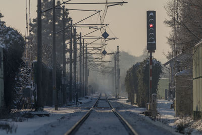 Road amidst bare trees