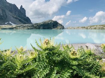 Scenic view of lake against sky