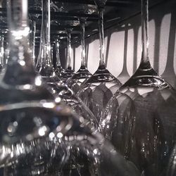Reflection of trees in water