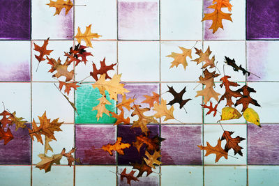 Autumn leaves on wall