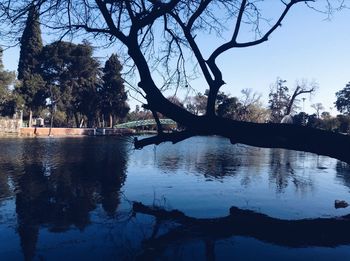 Silhouette trees by lake against sky