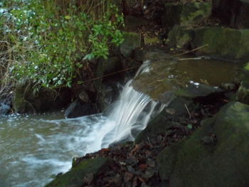 Stream flowing through rocks