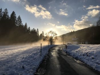 Scenic view of snow covered trees against sky