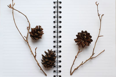 High angle view of dried plant on table