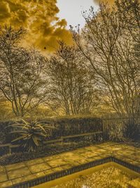 Scenic view of field against sky during sunset