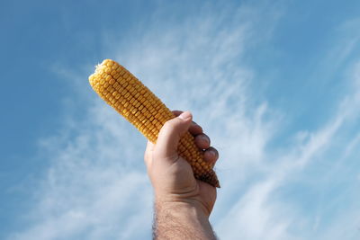 Woman holding hands against clear sky