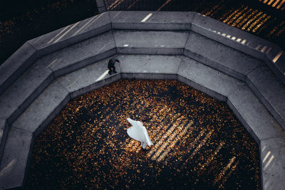 Close-up high angle view of two people in park