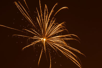 Low angle view of firework display at night
