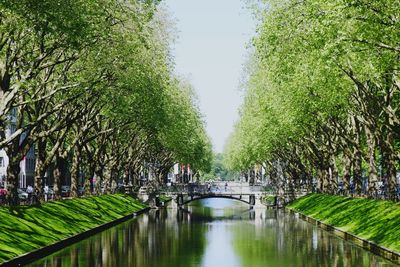 Canal amidst trees in park against sky in city