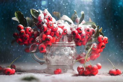 Close-up of snow covered rowan berries in glass on table