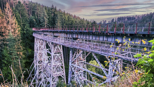 Panoramic shot of bridge in forest against sky