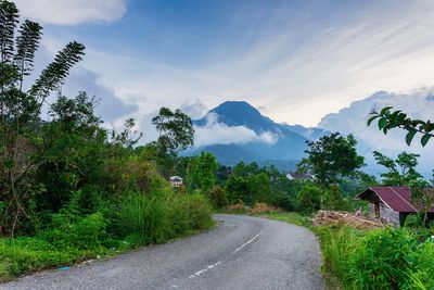 Road amidst trees against sky