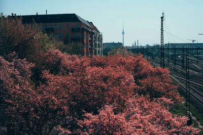 High angle view of trees and buildings against clear sky