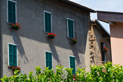 Low angle view of potted plants in city