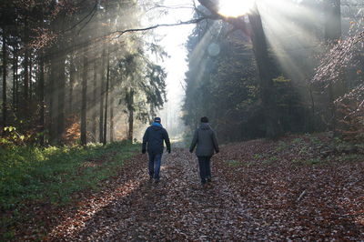 Rear view of people walking in the forest