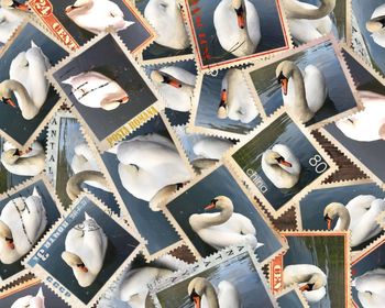 Full frame shot of objects on table