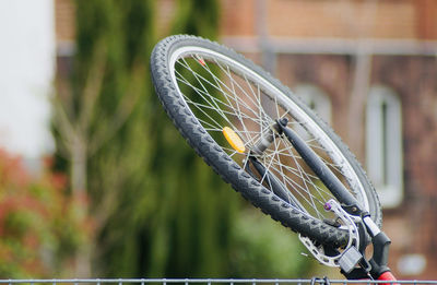 Close-up of caterpillar on bicycle