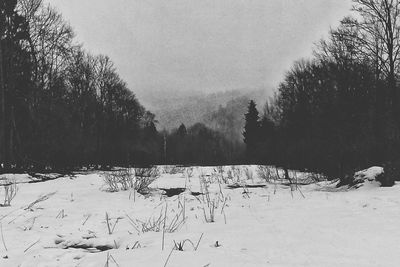 Trees on snow field against sky during winter