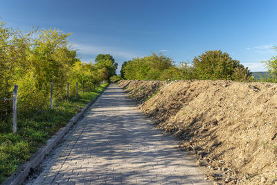 Footpath amidst trees against sky