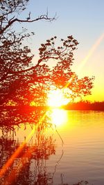 Silhouette tree by lake against sky during sunset