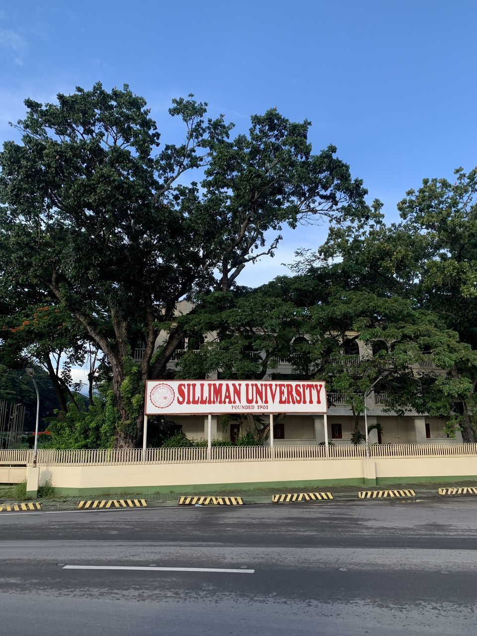 plant, tree, communication, text, sign, no people, architecture, nature, day, western script, built structure, road, sky, outdoors, city, building exterior, urban area, transportation