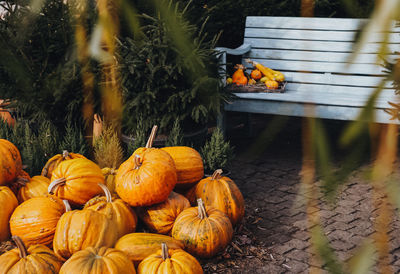 Autumn decor on the street