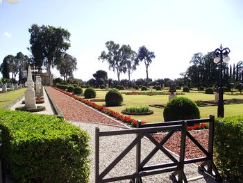 Park against sky