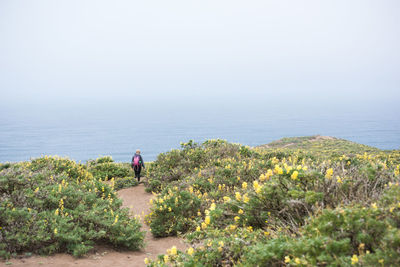 Rear view of woman walking amidst plants at beach