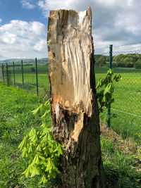 View of wooden fence on field against sky