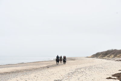 Rear view of people walking on beach