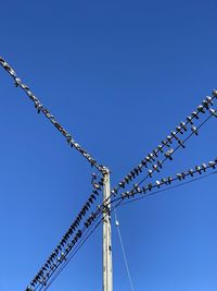 Low angle view of crane against clear blue sky