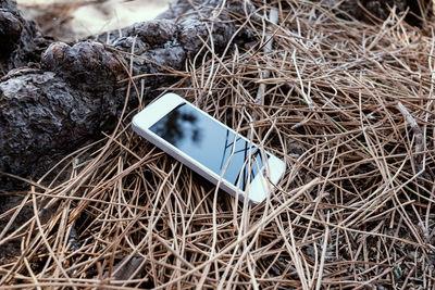 Smart phone lost in the forest. forgotten device concept