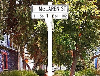 Information sign on tree