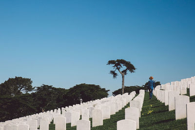 Rear view of woman walking amidst graves at cemetery