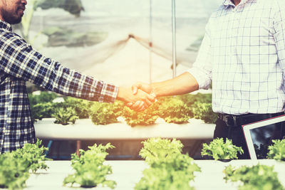 Midsection of male farmer shaking hands with inspector in greenhouse