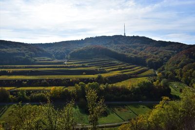 Scenic view of agricultural field against sky